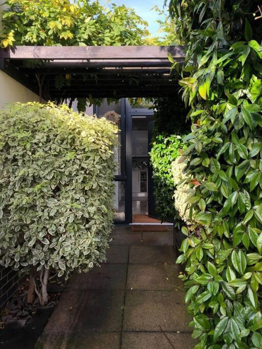 Private Garden Oasis In Central Bristol Exterior foto